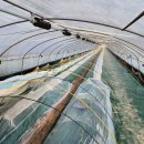 차씨네농장 이미지