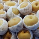 경부축산 이미지