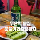 마차포차 | 부산역 풍물거리포장마차 동백포차 후기｜부산여행 감성 제대로 느낀 술집