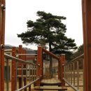 산장파크 이미지