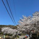 GR(영양군)-[중앙로]-상-1 | 운이 안 풀릴 때는 관악산에 가라 - 첫 번째 등산