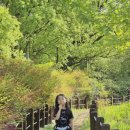 등원룩 초등학생 데일리룩 크롭티 상하복 여리네옷짱 하트티리본바지세트 수입아동복 초등여아 등교룩