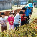 유촌초교 이미지