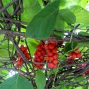 화선농장 이미지