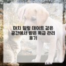 범석영치과의원 이미지