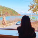 메가엠지씨커피서부산유통지구점 | [울산데이트] 부산근교 드라이브 데이트코스 내돈내산 추천 :: 소소숲 + 온실리움