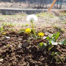 시부림터 이미지