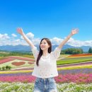 오이시투 | 홋카이도 인생샷 보장! 삿포로 비에이 1일 버스 투어, 이 가격 실화? 놓치면 후회할 유투어버스 후기