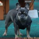 머슬팜짐 - 양천구 신월로 376 | 머슬팜짐