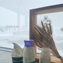 겨울연가 동상 | [삿포로] DAY2 : 흰그림자 소규모 디럭스투어, 야키니쿠 방정식