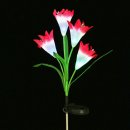 더 킴스 이미지