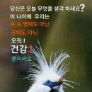 행복은 당신입니다~! 이미지