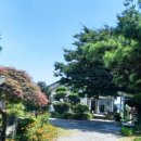 꽃지 화이트 펜션 이미지