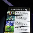 광명여행 이미지