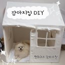 개인생활펫 | 펫초이스 댕피스텔, 강아지 집 DIY 추천 후기