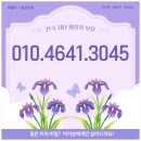 탑오토미션 | 1톤트럭중고 냉동탑차 21년식, 5만주행 오토 풀옵션 판매 후기