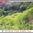 고단보건진료소 이미지