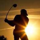 숲을향한시선 이미지