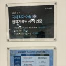 담소유병원 | 만4세 아이 서울 담소유병원에서 탈장 수술 후기