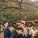 가림산둘레길 | 1월 제주 동쪽 우정여행 코스 / 물영아리오름 걷고 제주 참숯가마