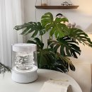 더글라스아이 | 보아르 더글라스 물멍 가열식 가습기 리뷰 feat. 넾다세일