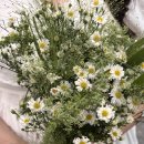 -도구머리공원1-33 | 서울 야외 스냅 벨루어스튜디오 촬영 후기 + 야외 촬영 꿀팁 공유