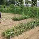 흥덕초등학교 이미지