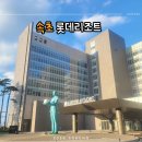 구펍 | 롯데리조트 속초 콘도 스위트 더블 구펍 외 부대시설 후기