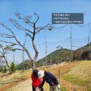 대구 필드레슨 (파3레슨) 회원님들 실제 후기 (대구근교파3, 가야골프랜드)