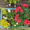 신안갈전마을 이미지