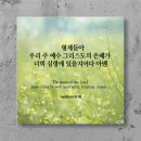 캔버스 109 이미지