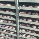 주식회사 동해식품 이미지