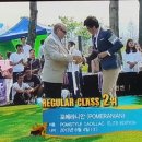 정원인터내셔날 이미지