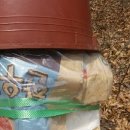 한봉제천 이미지