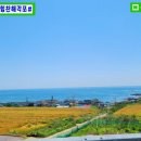 힘찬씨푸드 이미지
