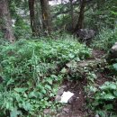 삼거리산장 이미지