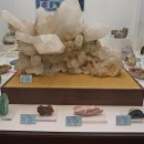 덕소자연사박물관 이미지