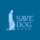 멍베베그루밍 이미지