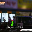 미라골미담식당 이미지