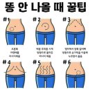 차전자피 황금구렁이 솔직 후기
