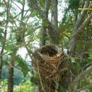 욱일농원 이미지