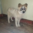 근계2리 이미지