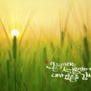 오포1동-4 이미지