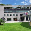 도봉구 팔팔요양병원 서울매일