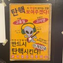 (온라인) 민주주의와 시민 | (전시) 민주주의와 깃발