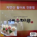 해운대 자연산 활어회 맛집-해운마루 내돈내산 후기