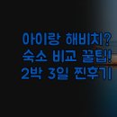 남태해안로 | 가족여행 완벽 선택 | 해비치 호텔 &amp; 리조트 VS 가성비 펜션 비교 꿀팁 | 실제 2박 3일 솔직 후기 정리