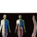 포커스메디칼㈜ 이미지