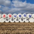 자유로 미디어이슈