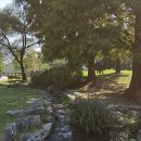 원리 농구장 이미지